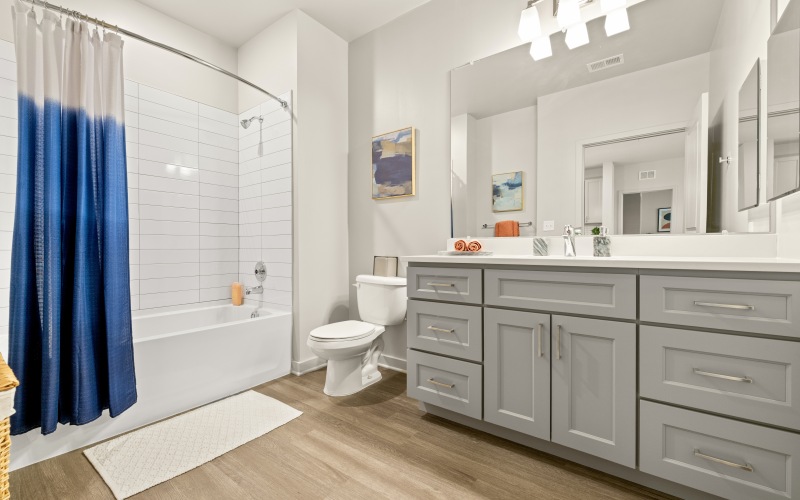 Apartment Amenities