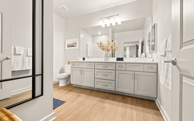 Apartment Amenities